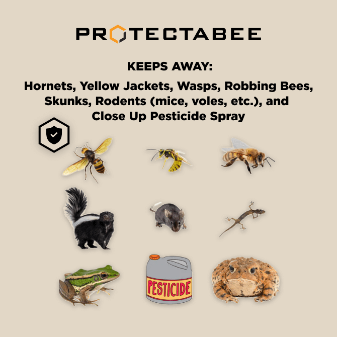 ProtectaBEE AllInOne Adjustable Hive Entrance 10 Frame M115