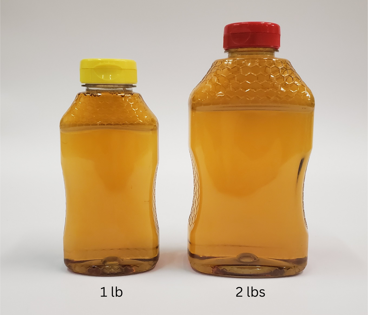 Hourglass Container 2 lb Bulk B562C Miller Bee Supply