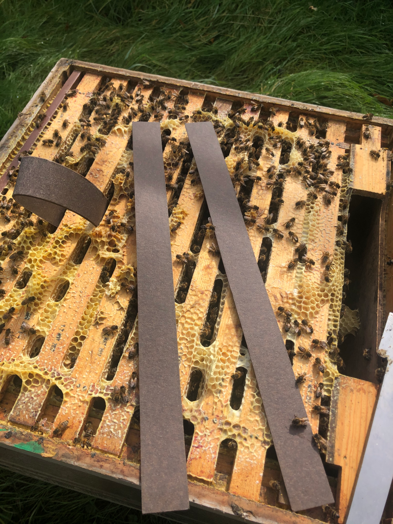 VarroxSan 60 Strip Pack C432 Miller Bee Supply